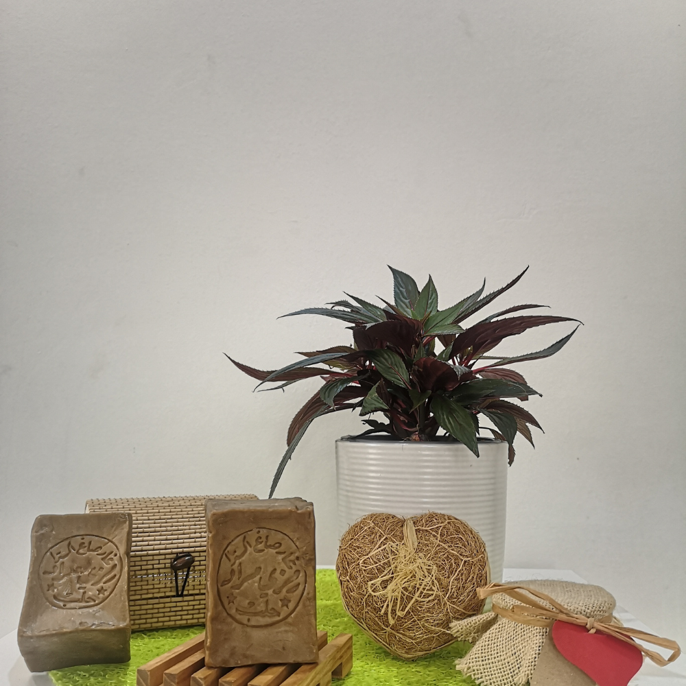 Aleppo Soap with 8% Laurel Berry Oil | Natural & Organic | Distriburix