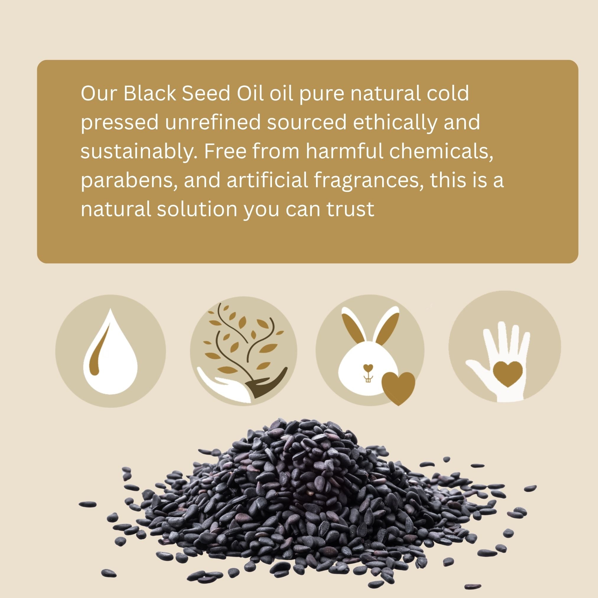 Black Seed Oil (organic, cold pressed, unrefined) | Natural & Organic | Distriburix
