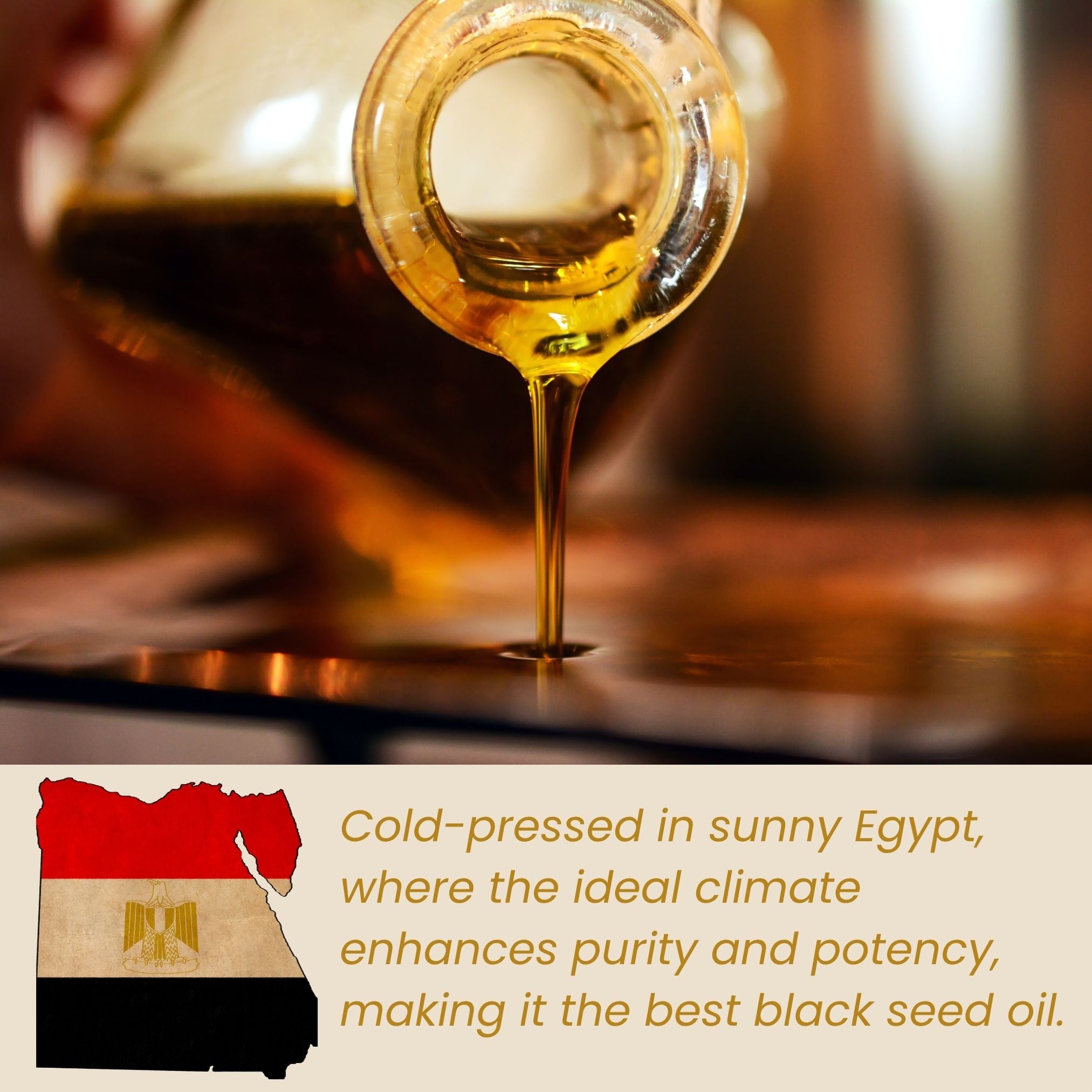 Black Seed Oil (organic, cold pressed, unrefined) | Natural & Organic | Distriburix