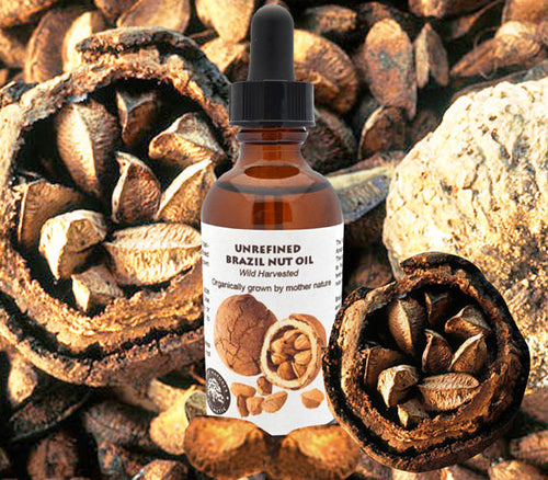 Virgin Brazil Nut Oil (organic, undiluted, | Natural & Organic | Distriburix